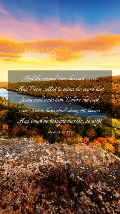 Picture 03 - Mark 14:72 KJV Mobile Phone Wallpaper - And the second time the cock crew. And Peter - Mobile Bible Verse Wallpaper