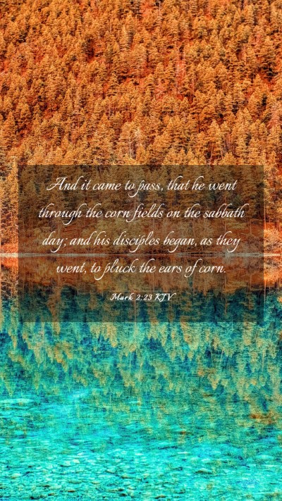 Picture 03 - Mark 2:23 KJV Mobile Phone Wallpaper - And it came to pass, that he went through the - Mobile Bible Verse Wallpaper