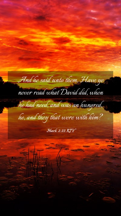 Picture 03 - Mark 2:25 KJV Mobile Phone Wallpaper - And he said unto them, Have ye never read what - Mobile Bible Verse Wallpaper