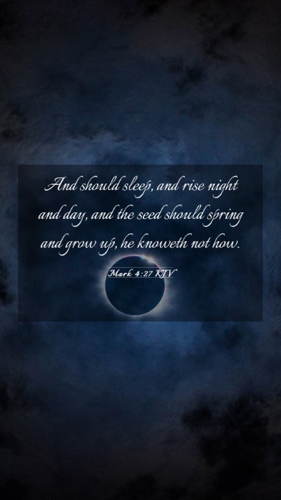 Picture 03 - Mark 4:27 KJV Mobile Phone Wallpaper - And should sleep, and rise night and day, and the - Mobile Bible Verse Wallpaper
