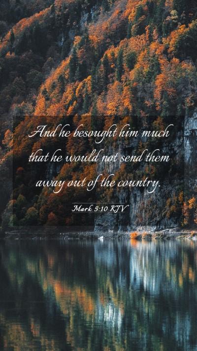 Picture 03 - Mark 5:10 KJV Mobile Phone Wallpaper - And he besought him much that he would not send - Mobile Bible Verse Wallpaper