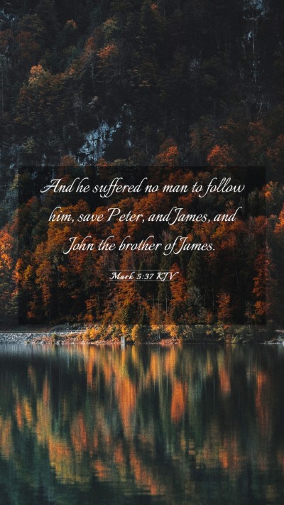 Picture 03 - Mark 5:37 KJV Mobile Phone Wallpaper - And he suffered no man to follow him, save Peter, - Mobile Bible Verse Wallpaper