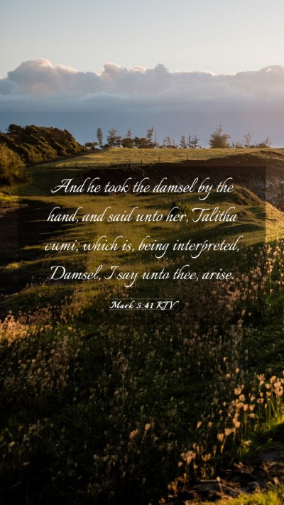 Picture 03 - Mark 5:41 KJV Mobile Phone Wallpaper - And he took the damsel by the hand, and said unto - Mobile Bible Verse Wallpaper