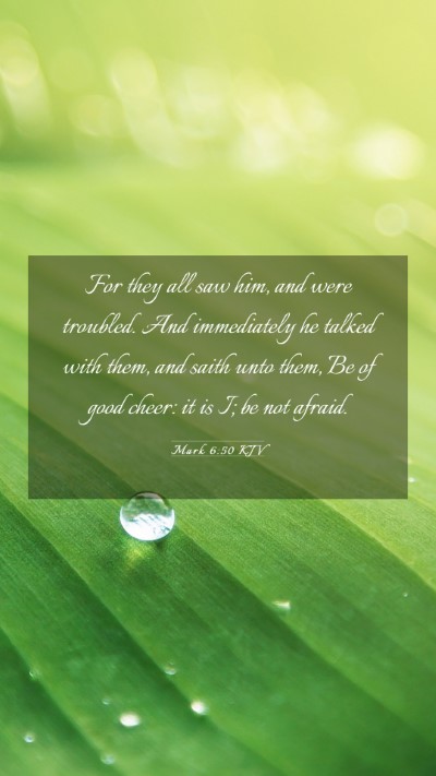 Picture 03 - Mark 6:50 KJV Mobile Phone Wallpaper - For they all saw him, and were troubled. And - Mobile Bible Verse Wallpaper