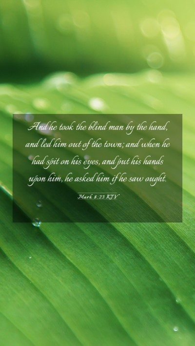 Picture 03 - Mark 8:23 KJV Mobile Phone Wallpaper - And he took the blind man by the hand, and led - Mobile Bible Verse Wallpaper