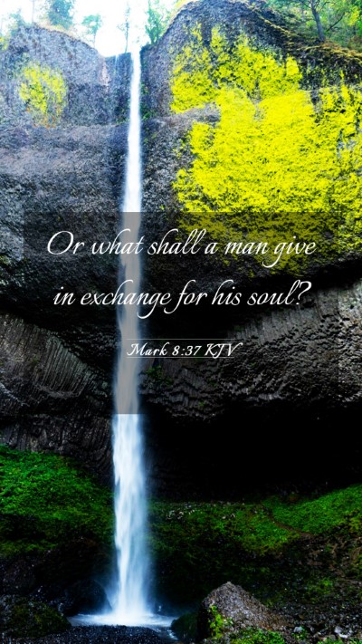 Picture 03 - Mark 8:37 KJV Mobile Phone Wallpaper - Or what shall a man give in exchange for his - Mobile Bible Verse Wallpaper
