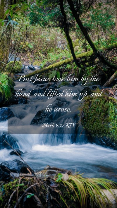 Picture 03 - Mark 9:27 KJV Mobile Phone Wallpaper - But Jesus took him by the hand, and lifted him - Mobile Bible Verse Wallpaper