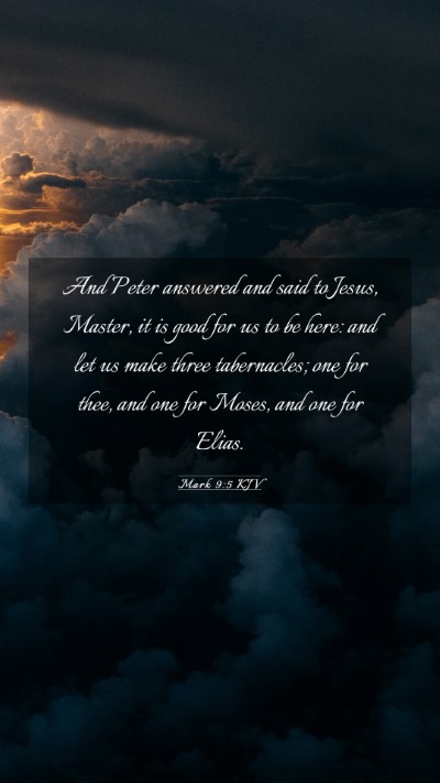 Picture 03 - Mark 9:5 KJV Mobile Phone Wallpaper - And Peter answered and said to Jesus, Master, it - Mobile Bible Verse Wallpaper