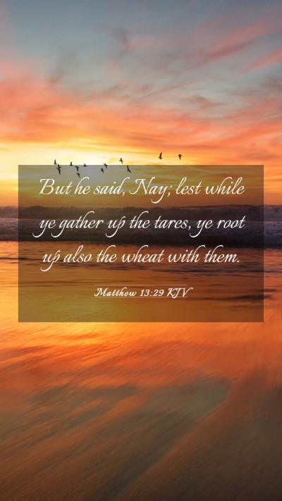 Picture 03 - Matthew 13:29 KJV Mobile Phone Wallpaper - But he said, Nay; lest while ye gather up the - Mobile Bible Verse Wallpaper