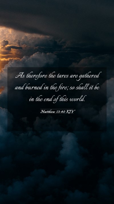 Picture 03 - Matthew 13:40 KJV Mobile Phone Wallpaper - As therefore the tares are gathered and burned in - Mobile Bible Verse Wallpaper