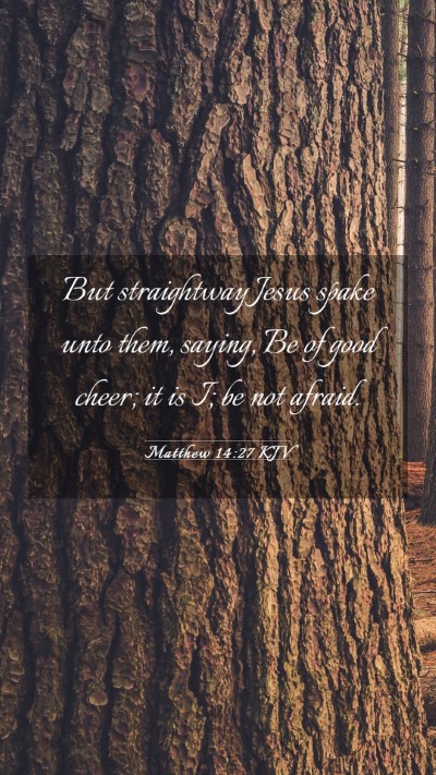 Picture 03 - Matthew 14:27 KJV Mobile Phone Wallpaper - But straightway Jesus spake unto them, saying, Be - Mobile Bible Verse Wallpaper