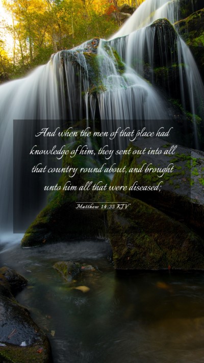 Picture 03 - Matthew 14:35 KJV Mobile Phone Wallpaper - And when the men of that place had knowledge of - Mobile Bible Verse Wallpaper