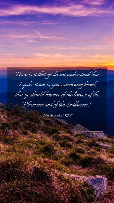 Picture 03 - Matthew 16:11 KJV Mobile Phone Wallpaper - How is it that ye do not understand that I spake - Mobile Bible Verse Wallpaper