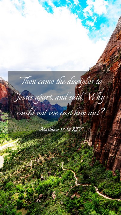 Picture 03 - Matthew 17:19 KJV Mobile Phone Wallpaper - Then came the disciples to Jesus apart, and said, - Mobile Bible Verse Wallpaper