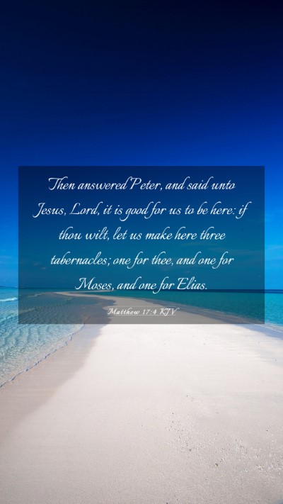 Picture 03 - Matthew 17:4 KJV Mobile Phone Wallpaper - Then answered Peter, and said unto Jesus, Lord, - Mobile Bible Verse Wallpaper