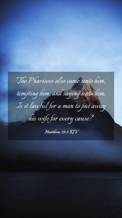 Picture 03 - Matthew 19:3 KJV Mobile Phone Wallpaper - The Pharisees also came unto him, tempting him, - Mobile Bible Verse Wallpaper