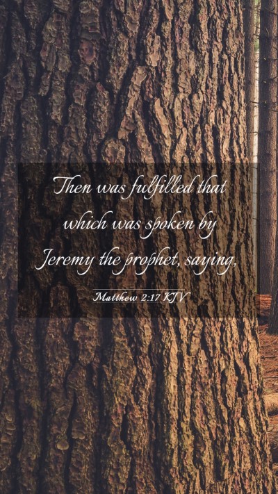Picture 03 - Matthew 2:17 KJV Mobile Phone Wallpaper - Then was fulfilled that which was spoken by - Mobile Bible Verse Wallpaper