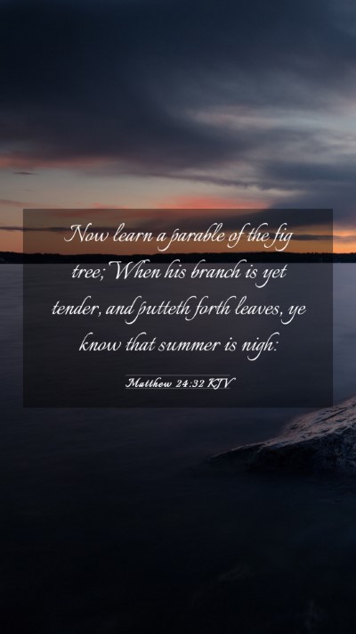 Picture 03 - Matthew 24:32 KJV Mobile Phone Wallpaper - Now learn a parable of the fig tree; When his - Mobile Bible Verse Wallpaper