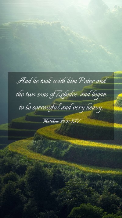 Picture 03 - Matthew 26:37 KJV Mobile Phone Wallpaper - And he took with him Peter and the two sons of - Mobile Bible Verse Wallpaper