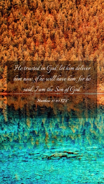Picture 03 - Matthew 27:43 KJV Mobile Phone Wallpaper - He trusted in God; let him deliver him now, if he - Mobile Bible Verse Wallpaper
