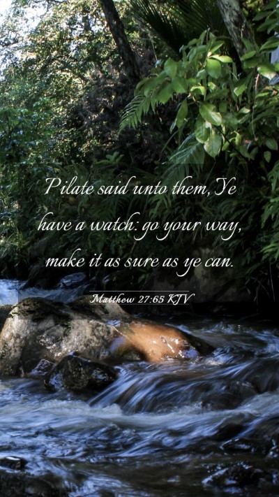 Picture 03 - Matthew 27:65 KJV Mobile Phone Wallpaper - Pilate said unto them, Ye have a watch: go your - Mobile Bible Verse Wallpaper