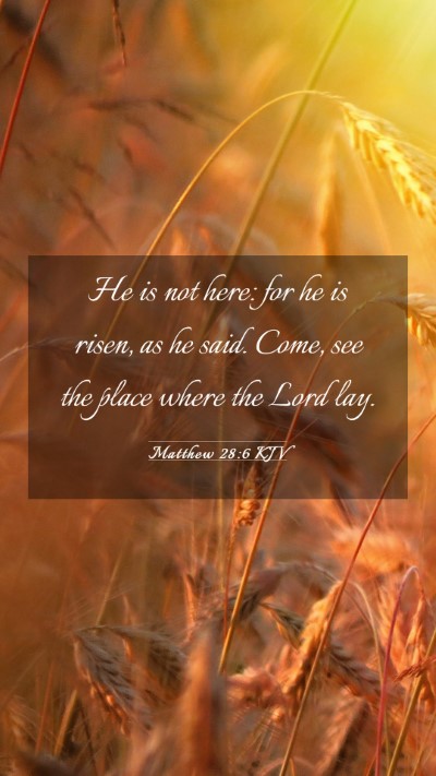 Picture 03 - Matthew 28:6 KJV Mobile Phone Wallpaper - He is not here: for he is risen, as he said. - Mobile Bible Verse Wallpaper