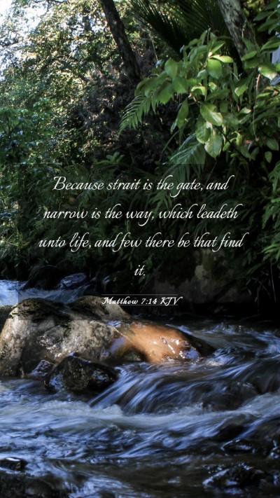 Picture 03 - Matthew 7:14 KJV Mobile Phone Wallpaper - Because strait is the gate, and narrow is the - Mobile Bible Verse Wallpaper