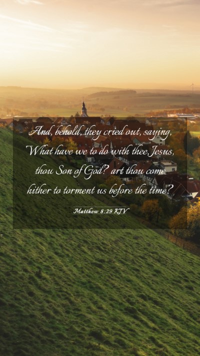 Picture 03 - Matthew 8:29 KJV Mobile Phone Wallpaper - And, behold, they cried out, saying, What have we - Mobile Bible Verse Wallpaper