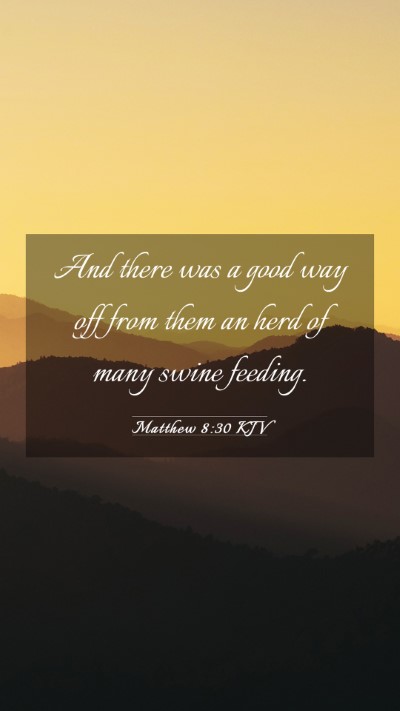 Picture 03 - Matthew 8:30 KJV Mobile Phone Wallpaper - And there was a good way off from them an herd of - Mobile Bible Verse Wallpaper