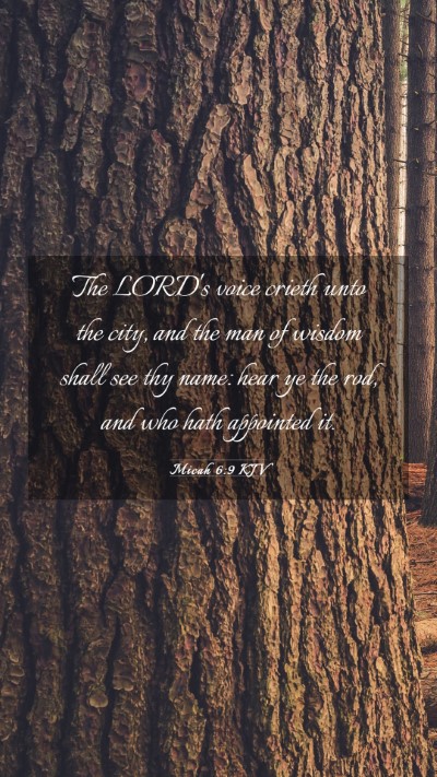 Picture 03 - Micah 6:9 KJV Mobile Phone Wallpaper - The LORD's voice crieth unto the city, and the - Mobile Bible Verse Wallpaper