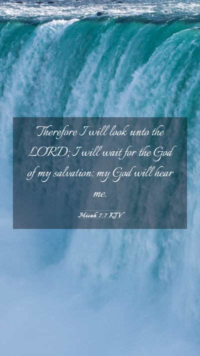 Picture 03 - Micah 7:7 KJV Mobile Phone Wallpaper - Therefore I will look unto the LORD; I will wait - Mobile Bible Verse Wallpaper