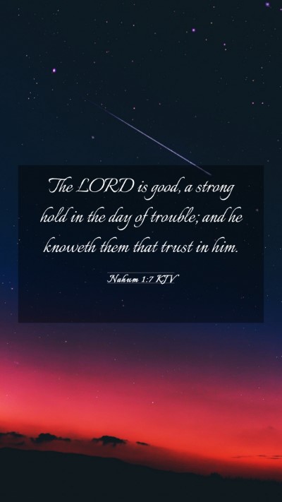 Picture 03 - Nahum 1:7 KJV Mobile Phone Wallpaper - The LORD is good, a strong hold in the day of - Mobile Bible Verse Wallpaper