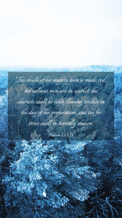 Picture 03 - Nahum 2:3 KJV Mobile Phone Wallpaper - The shield of his mighty men is made red, the - Mobile Bible Verse Wallpaper