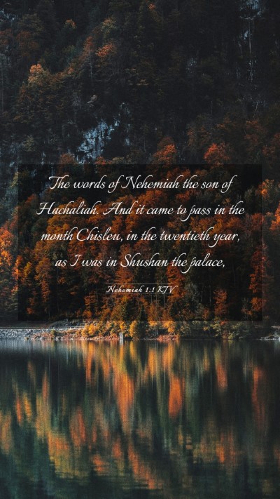Picture 03 - Nehemiah 1:1 KJV Mobile Phone Wallpaper - The words of Nehemiah the son of Hachaliah. And - Mobile Bible Verse Wallpaper