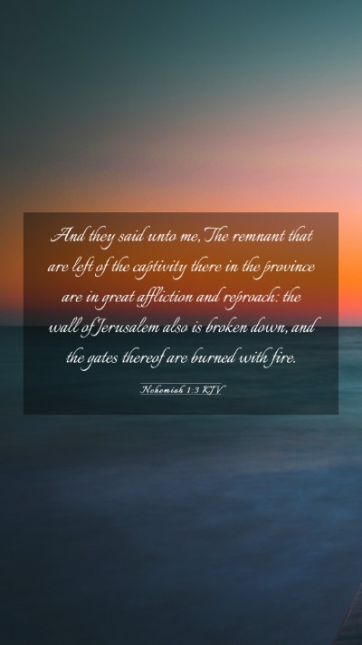 Picture 03 - Nehemiah 1:3 KJV Mobile Phone Wallpaper - And they said unto me, The remnant that are left - Mobile Bible Verse Wallpaper