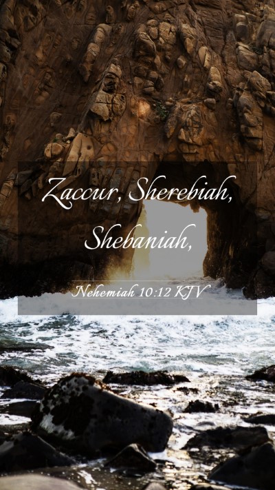 Picture 03 - Nehemiah 10:12 KJV Mobile Phone Wallpaper - Zaccur, Sherebiah, - Mobile Bible Verse Wallpaper