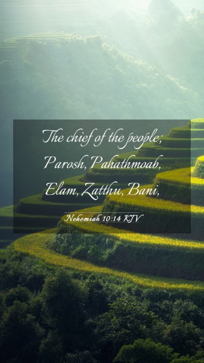Picture 03 - Nehemiah 10:14 KJV Mobile Phone Wallpaper - The chief of the people; Parosh, Pahathmoab, - Mobile Bible Verse Wallpaper