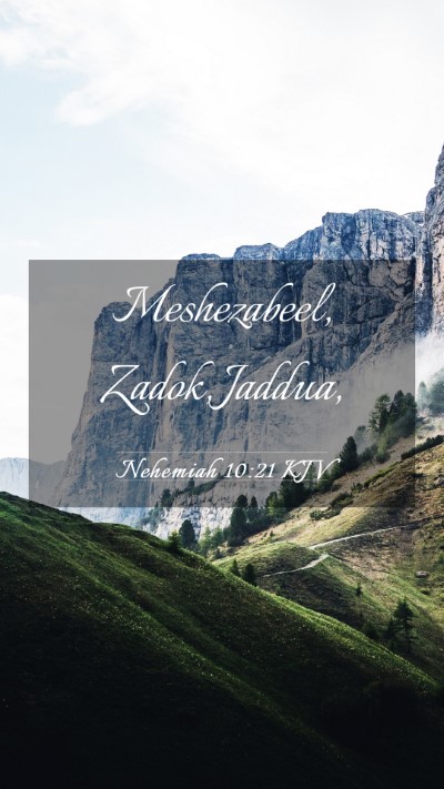 Picture 03 - Nehemiah 10:21 KJV Mobile Phone Wallpaper - Meshezabeel, Zadok, - Mobile Bible Verse Wallpaper