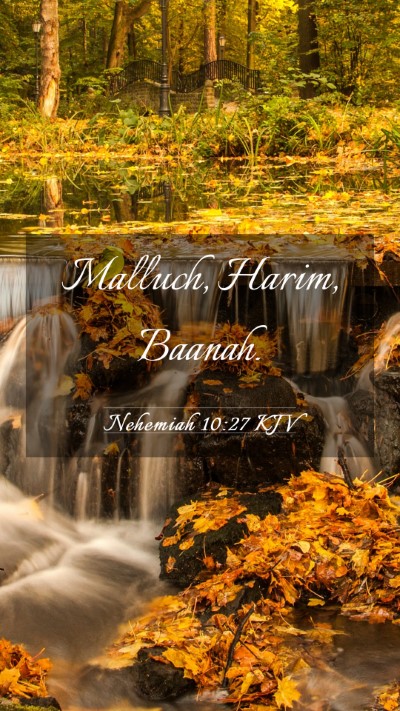 Picture 03 - Nehemiah 10:27 KJV Mobile Phone Wallpaper - Malluch, Harim, - Mobile Bible Verse Wallpaper