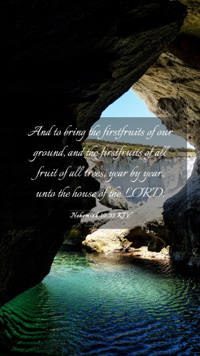 Picture 03 - Nehemiah 10:35 KJV Mobile Phone Wallpaper - And to bring the firstfruits of our ground, and - Mobile Bible Verse Wallpaper