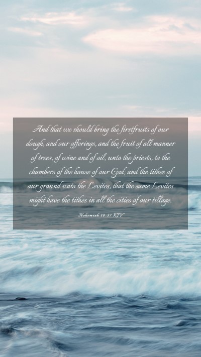 Picture 03 - Nehemiah 10:37 KJV Mobile Phone Wallpaper - And that we should bring the firstfruits of our - Mobile Bible Verse Wallpaper