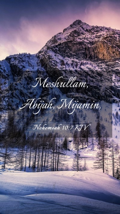 Picture 03 - Nehemiah 10:7 KJV Mobile Phone Wallpaper - Meshullam, Abijah, - Mobile Bible Verse Wallpaper