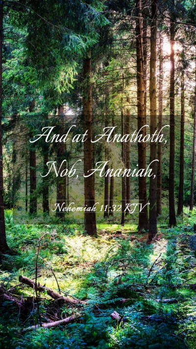Picture 03 - Nehemiah 11:32 KJV Mobile Phone Wallpaper - And at Anathoth, Nob, - Mobile Bible Verse Wallpaper