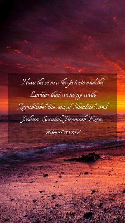 Picture 03 - Nehemiah 12:1 KJV Mobile Phone Wallpaper - Now these are the priests and the Levites that - Mobile Bible Verse Wallpaper