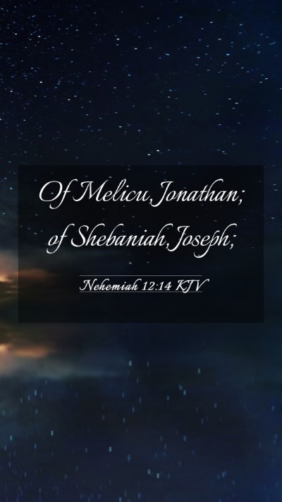 Picture 03 - Nehemiah 12:14 KJV Mobile Phone Wallpaper - Of Melicu, Jonathan; of Shebaniah, - Mobile Bible Verse Wallpaper