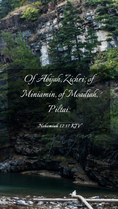 Picture 03 - Nehemiah 12:17 KJV Mobile Phone Wallpaper - Of Abijah, Zichri; of Miniamin, of Moadiah, - Mobile Bible Verse Wallpaper
