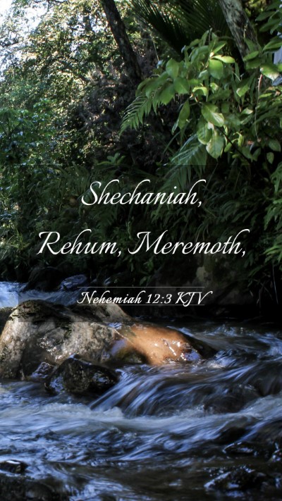 Picture 03 - Nehemiah 12:3 KJV Mobile Phone Wallpaper - Shechaniah, Rehum, - Mobile Bible Verse Wallpaper
