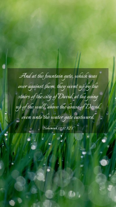 Picture 03 - Nehemiah 12:37 KJV Mobile Phone Wallpaper - And at the fountain gate, which was over against - Mobile Bible Verse Wallpaper