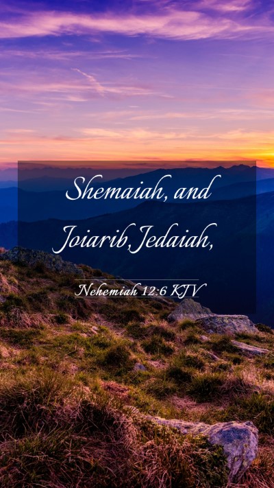 Picture 03 - Nehemiah 12:6 KJV Mobile Phone Wallpaper - Shemaiah, and Joiarib, - Mobile Bible Verse Wallpaper