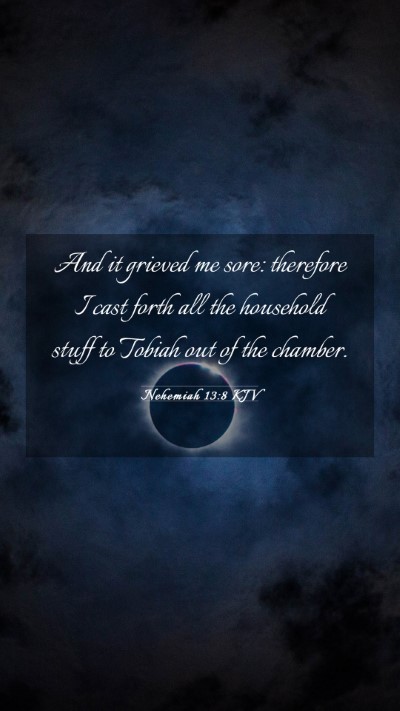 Picture 03 - Nehemiah 13:8 KJV Mobile Phone Wallpaper - And it grieved me sore: therefore I cast forth - Mobile Bible Verse Wallpaper
